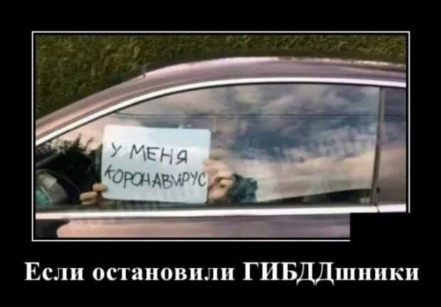 Демотиваторы про коронавирус с надписями. Подборка chert-poberi-dem-koronavirus-chert-poberi-dem-koronavirus-37330614122020-4 картинка chert-poberi-dem-koronavirus-37330614122020-4