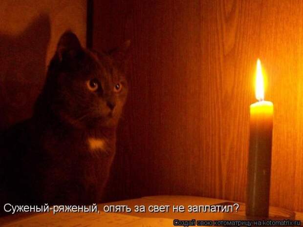 22 котоматрицы