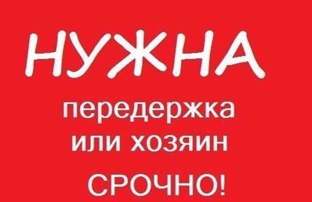 Эти фотографии говорят без слов... Умоляем, просим вас о помощи!