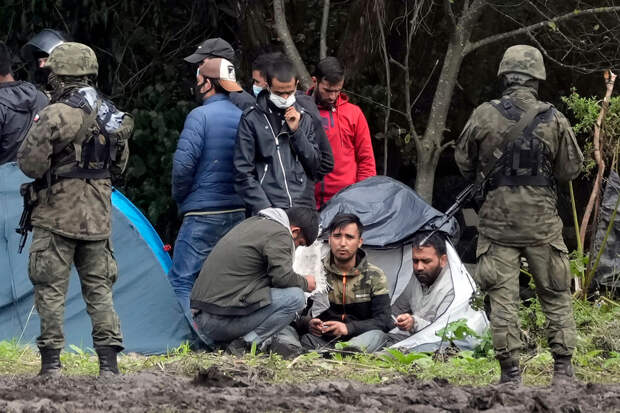Под Минском задержаны 54 нелегальных мигранта из Индии, Сирии и других стран