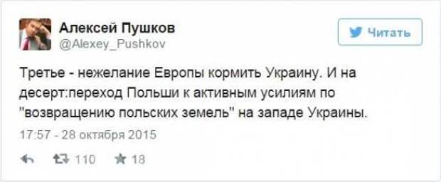 Пушков: Украина вступает в полосу великих разочарований | Русская весна