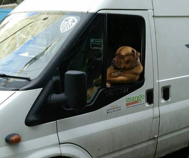 Прикольные картинки Прикольные картинки