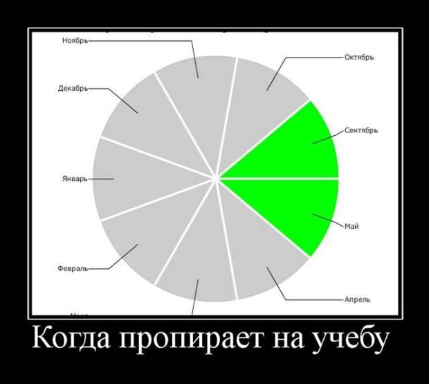 Демотиваторы бревно, демотиваторы, юмор