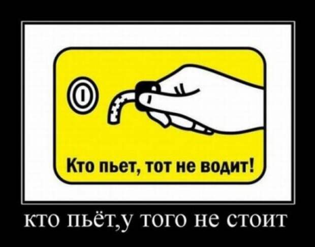 Картинки демотиваторы с приколом.
