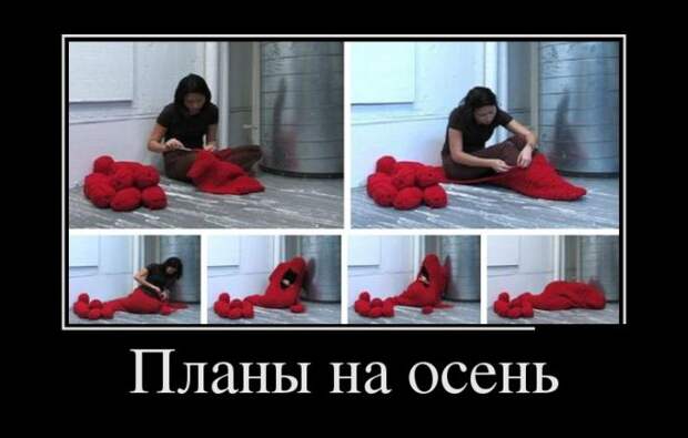 Планы на осень демотиватор, юмор