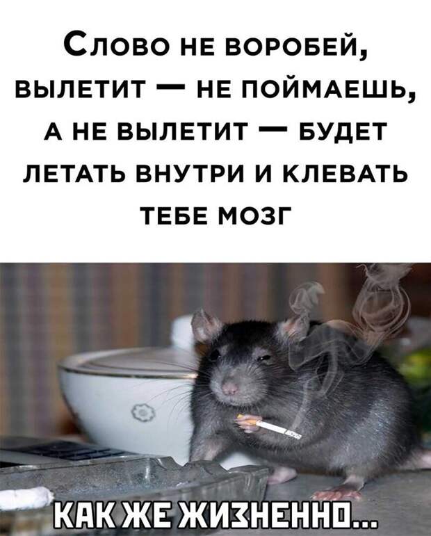 Комментарии и картинки из соцсетей