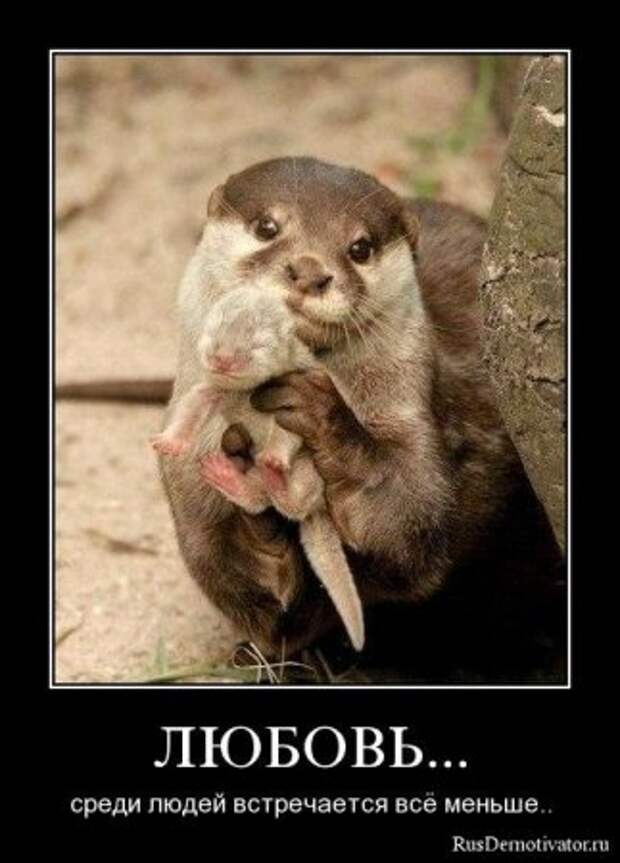 Демотиваторы про любовь и разлуку.