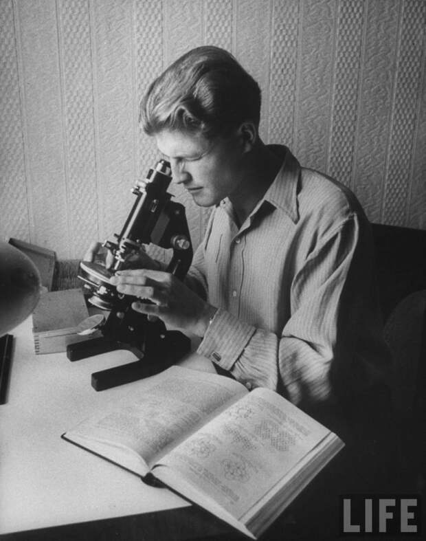 Московский государственный университет  в 1956 году