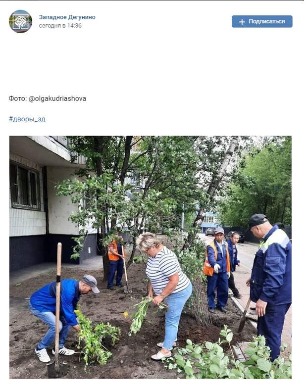 Фото дня: на Маршала Федоренко украшают палисадник