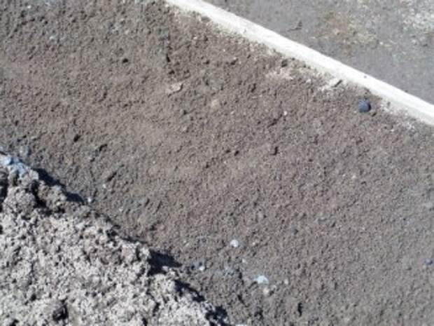 Посадка моркови под зиму посадка моркови под зиму