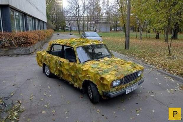 Забавные приколы на дороге (24 фото)