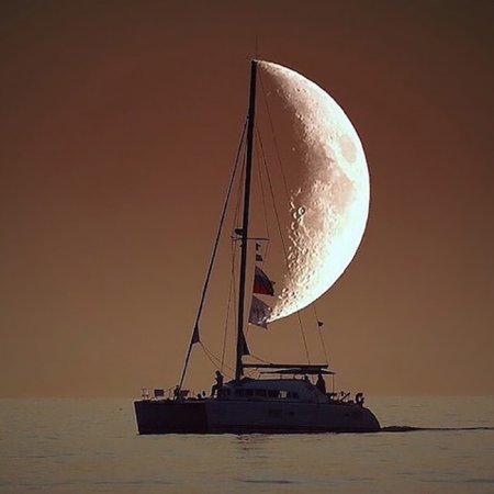 Вовремя снятые фотографии, которые заставят вас посмотреть на них дважды.