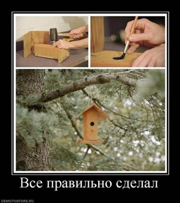 Веселые демотиваторы у нас каждый день!