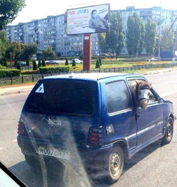 подборка автомобильных приколов и демотиваторов автомобильных.