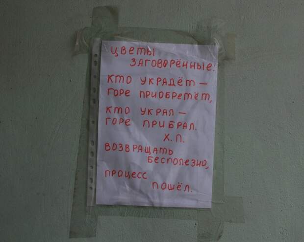 Душевный копирайтинг от народа написи, объявление, позитив, юмор
