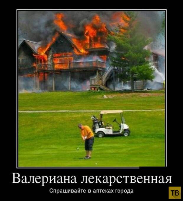 Подборка демотиваторов 30. 10. 2014 (32 фото)