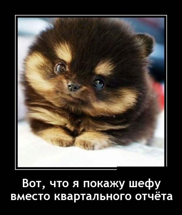Демотиваторы (30 фото) Демотиваторы (30 фото)