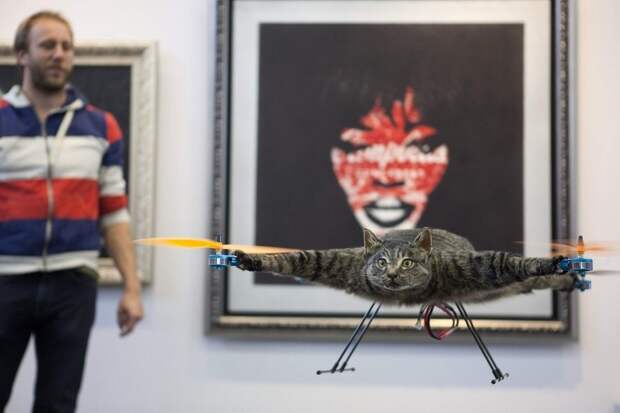 enhanced Летающий кот с моторчиками – ужас из Амстердама