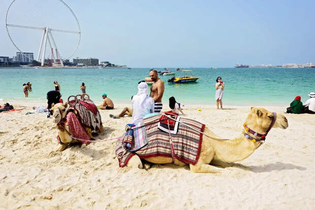 "На третий день смотреть не на что": русские туристы разочаровываются в Египте