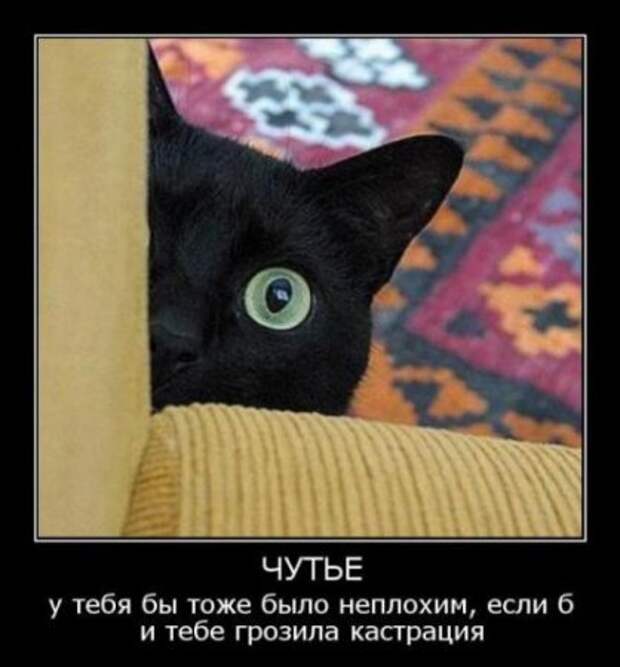 Демотиваторсы с приколом.