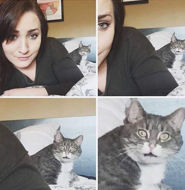 Прикольные картинки. Вечерний выпуск (54 фото)