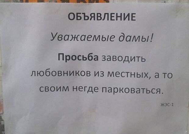 записки от солидарных соседей