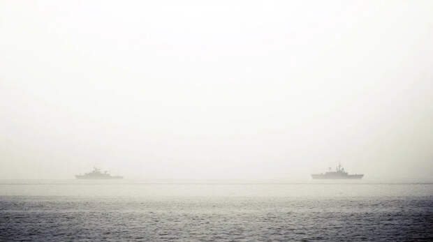 Эстония хотела сделать России больно. Теперь кусают локти