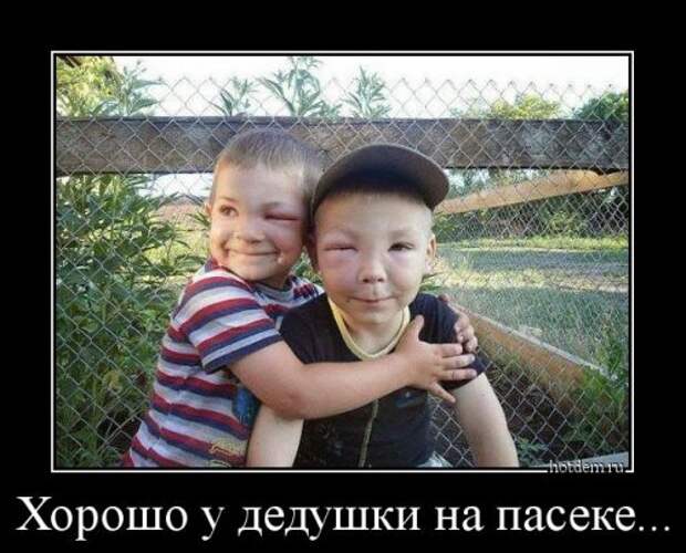 Демотиваторы-новинки (18 шт)