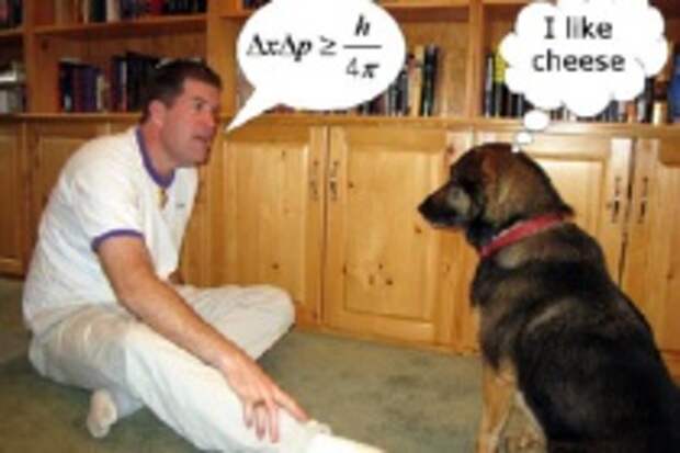 Статьи Понимают ли собаки человеческую речь?