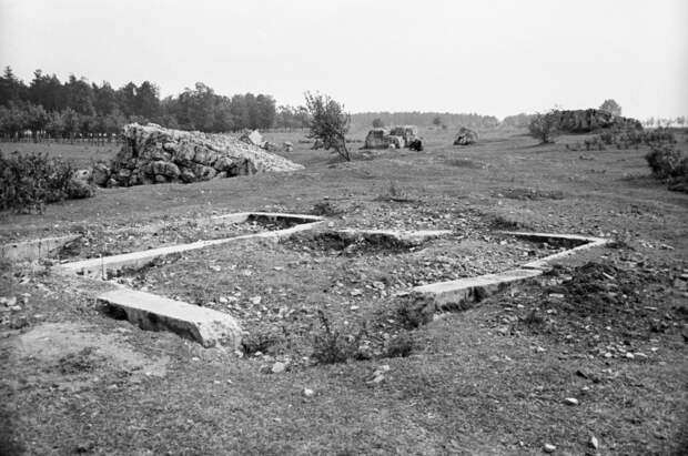 Что скрывал «Вервольф»: останки ставки Гитлера под Винницей