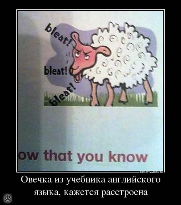 У каждого своя Олимпиада 16