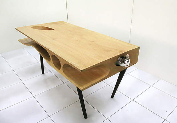 котостол