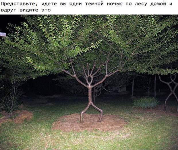 Смешные картинки с подписями катинки, прикол, юмор