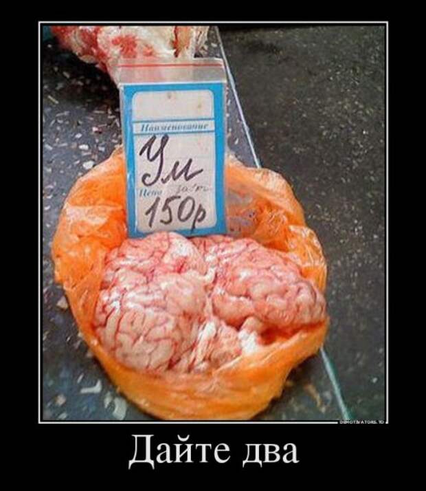 Новый сборник демотиваторов (28 шт)