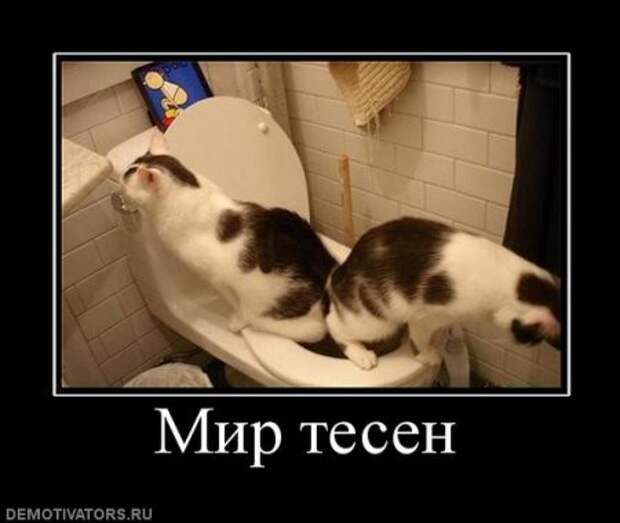 Веселая и прикольная подборка новеньких демотиваторов.!