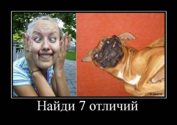 Демотиваторы по русски смешные.
