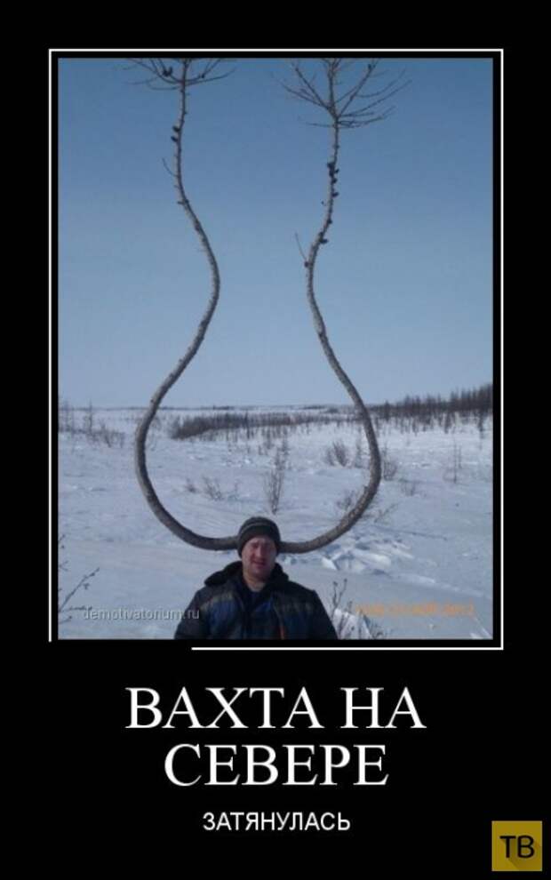 Демотиваторы (30 фото)