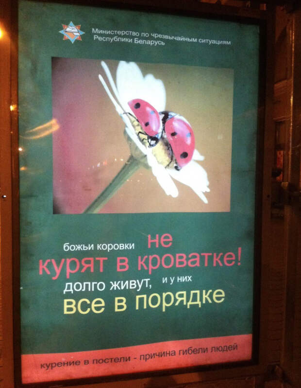 самые крутые маразмы рекламы