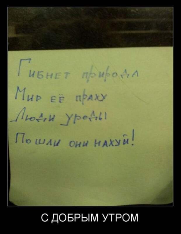 Жизненные демотиваторы - социальные приколы и проблемы