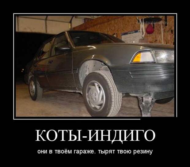 Подборка  демотиваторов демотиваторы, юмор
