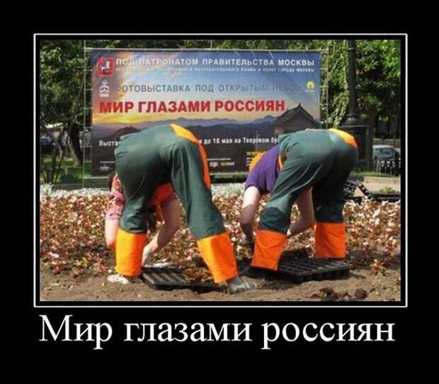 Демотиваторы (30 фото) Демотиваторы (30 фото)