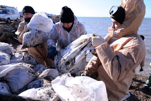 Десятки птиц в мазуте и пальмовом масле обнаружили на побережье Анапы