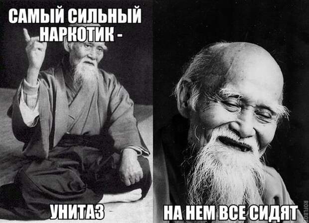 Смешные картинки с подписями картинки, прикол, юмор