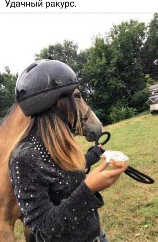 Удачный ракурс Удачный ракурс