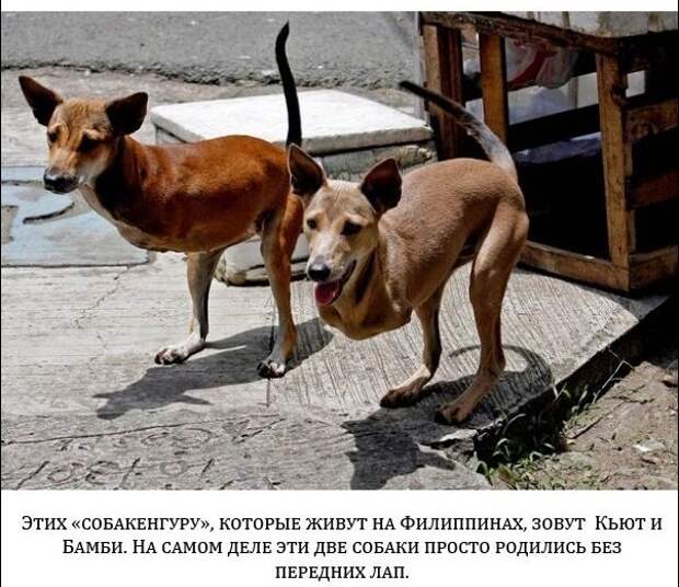 Настоящие снимки, которые не были обработаны (20 фото)