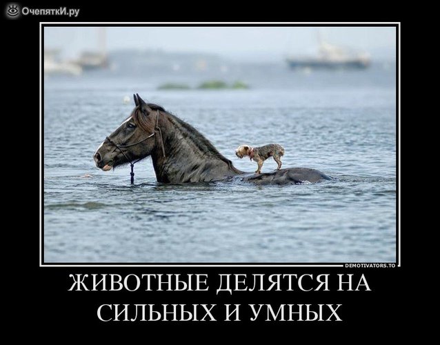 Демотиваторы о разном 21