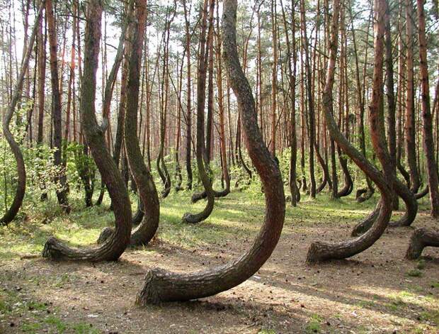 Фотоприколы кучей