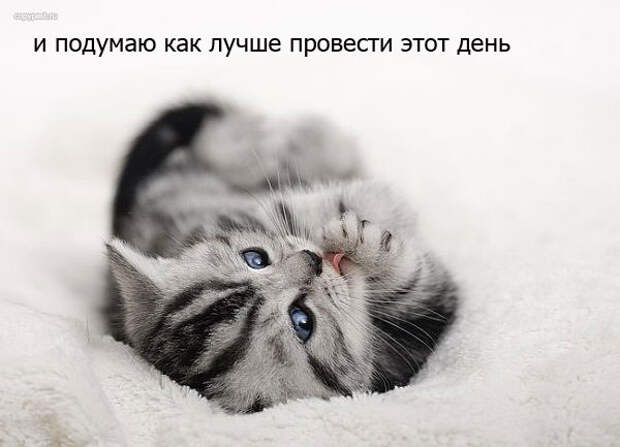 Пятница
