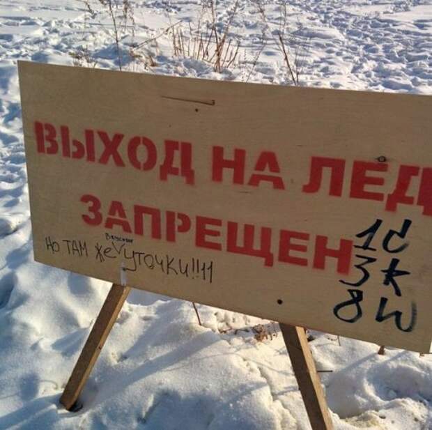 Смешные вывески, объявления и реклама (32 фото)