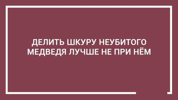 20 дельных советов — этому не учат в школе 20 дельных советов — этому не учат в школе открытка, совет, юмор